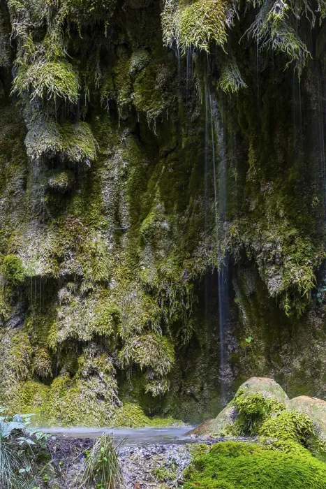 Framed Print : Sintered rock overgrown with mosses