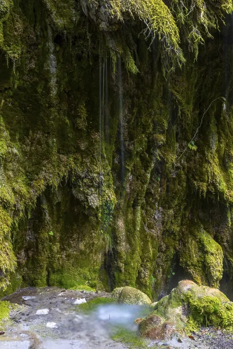 Framed Print : Sintered rock overgrown with mosses