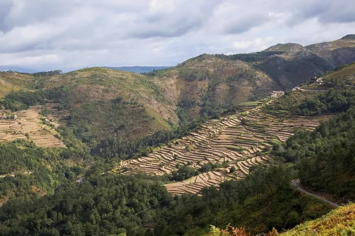 Framed Print : Sistelo, Portugal: Aerial View of the Agricultural Terraces (famous Tibet style mountain landscape) - Hiking Framed Print : Sistelo, Portugal: Aerial View of the Agricultural Terraces (famous Tibet style mountain landscape) - Hiking