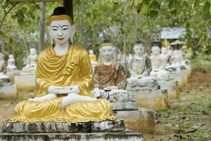 Framed Print : Sitting Buddha statues beneath a Bodhi tree