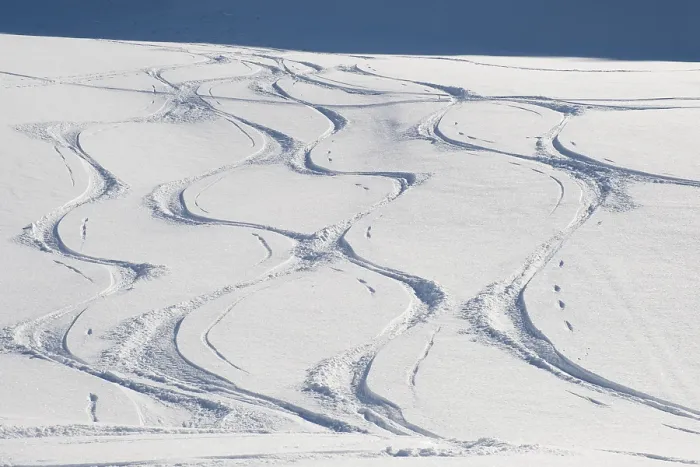 Framed Print : Ski tracks on a mountain slope in powder snow Framed Print : Ski tracks on a mountain slope in powder snow