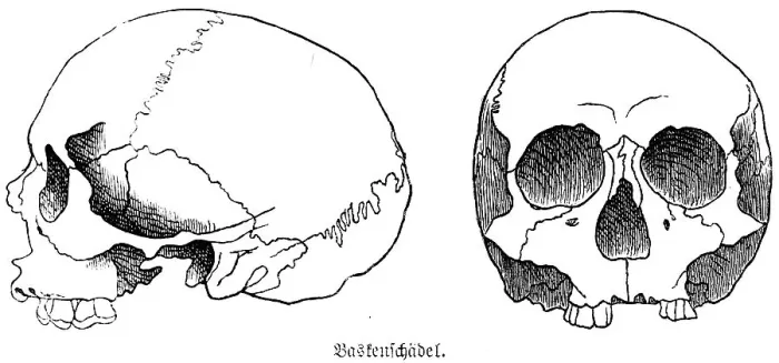 Framed Print : Skull of a Basque from the Iberian Peninsula, a half-length skull or mesocephal, front and side view, teeth, eye sockets, skullcap, anthropology, archaeology, history of mankind, Spain, historical illustration 1880, Europe Framed Print : Skull of a Basque from the Iberian Peninsula, a half-length skull or mesocephal, front and side view, teeth, eye sockets, skullcap, anthropology, archaeology, history of mankind, Spain, historical illustration 1880, Europe