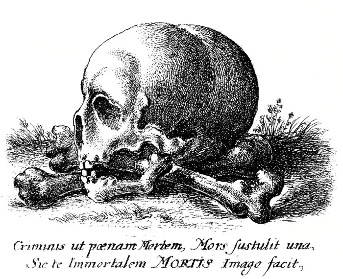 Framed Print : Skull and human bones, Historical