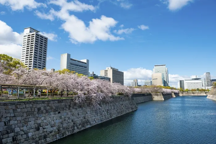 Framed Print : Skyscrapers and cherry blossoms on the moat with water at Osaka Castle