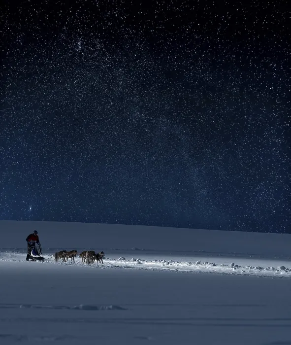 Framed Print : Sled dogs in the starry sky