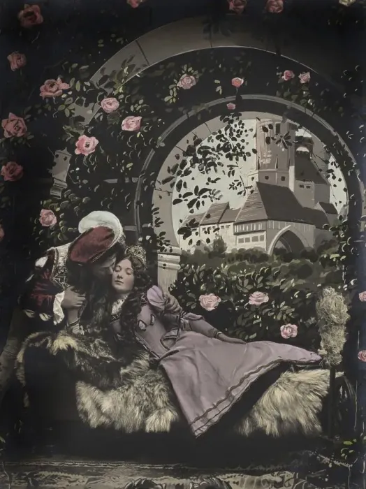 Framed Print : Sleeping Beauty, depiction of a fairy tale