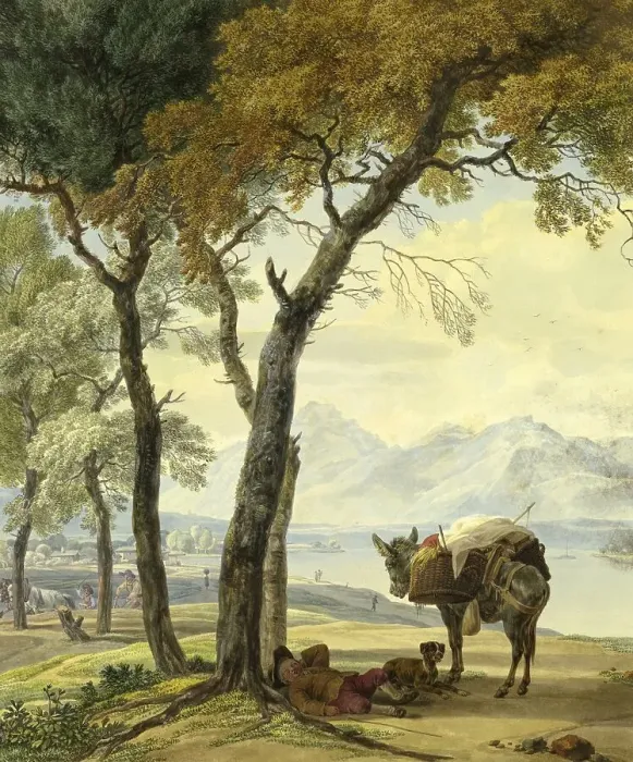 Framed Print : Sleeping Donkey Driver under a Tree by a Lake