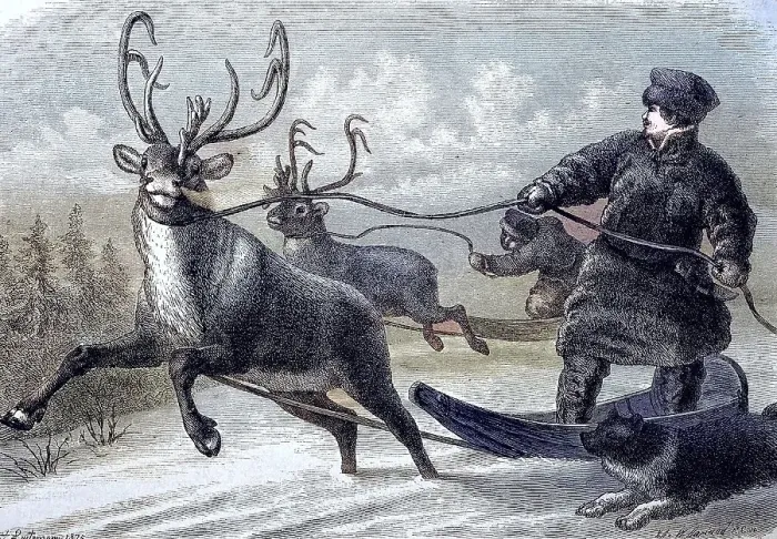Framed Print : Sleigh ride with reindeer in Lapland