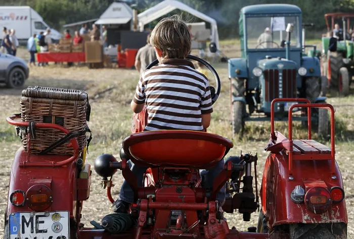 Framed Print : Small boy sitting at the wheel of a vintage tractor