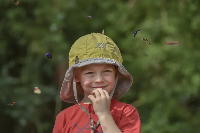 Framed Print : Small boy surrounded by flying colorful butterflies