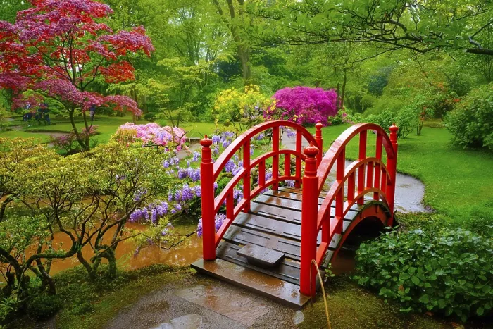 Framed Print : Small bridge in Japanese garden