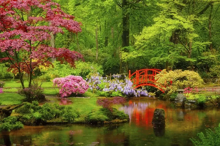 Framed Print : Small bridge in Japanese garden