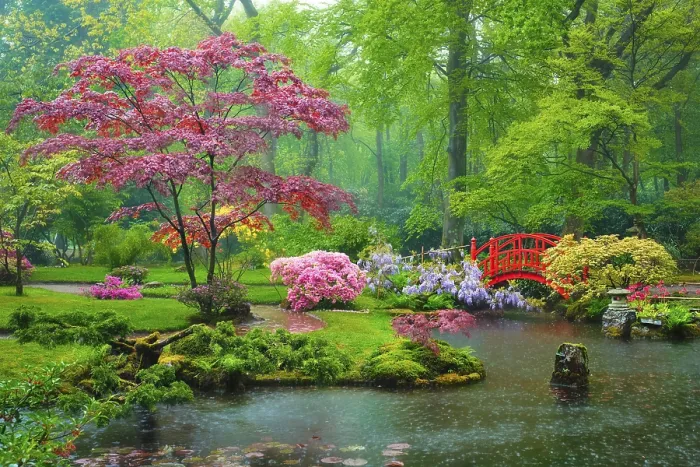 Framed Print : Small bridge in Japanese garden in rain