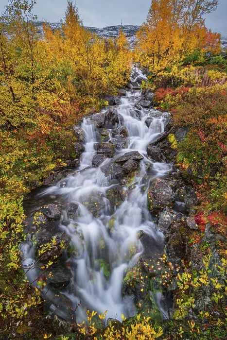 Framed Print : Small mountain stream with colourful vegetation in autumn