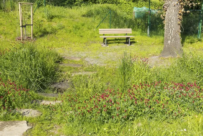 Framed Print : Small park with bench and watercourse Am Steinborn in Altklotzsche