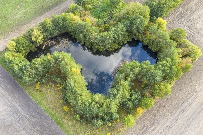 Framed Print : Small pond on farmland, surrounded by bushes