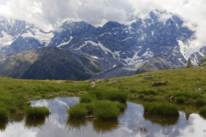Framed Print : Small pond with tufts of grass and view of cloud-covered Ortler massif Framed Print : Small pond with tufts of grass and view of cloud-covered Ortler massif