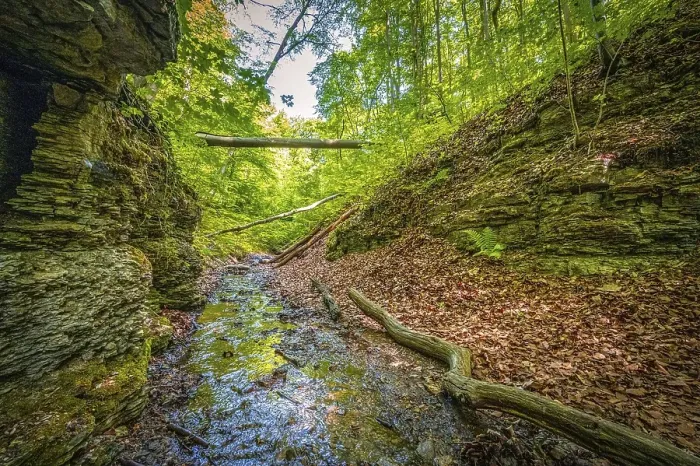 Framed Print : Small river flowing in mixed forest between limestone rocks in Rautal forest area in summer sunshine Framed Print : Small river flowing in mixed forest between limestone rocks in Rautal forest area in summer sunshine