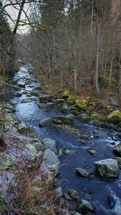 Framed Print : Small river in the forest with rocks and moss-covered trees along the shore Framed Print : Small river in the forest with rocks and moss-covered trees along the shore