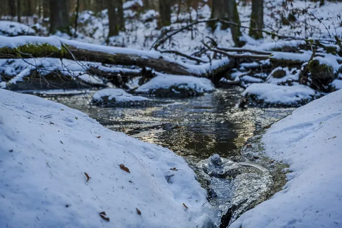Framed Print : A small stream flows through a forest in winter
