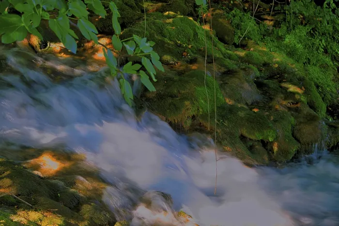 Framed Print : A small stream flows quietly over moss-covered stones Framed Print : A small stream flows quietly over moss-covered stones