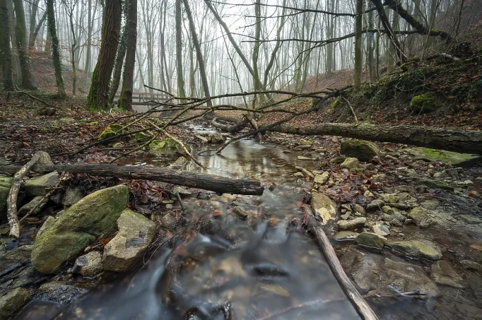 Framed Print : A small stream in the forest of Zeiselmauer-Wolfpassing