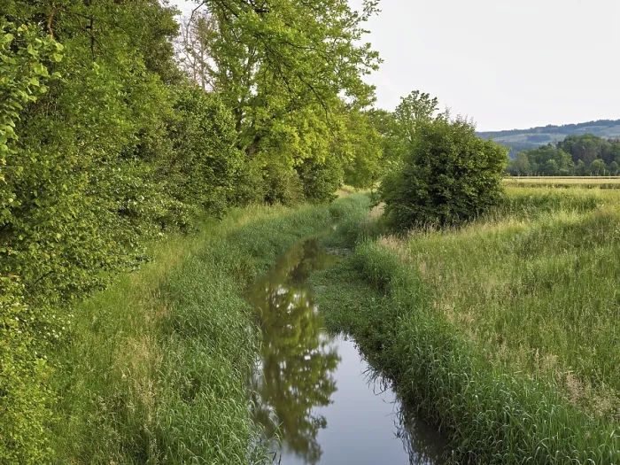 Framed Print : Small stream leads through forest with English oaks