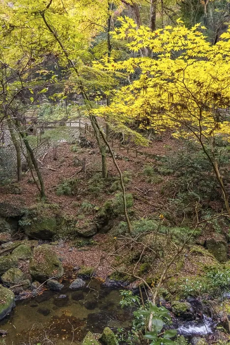 Framed Print : Small stream surrounded by rocks and autumnal yellow trees