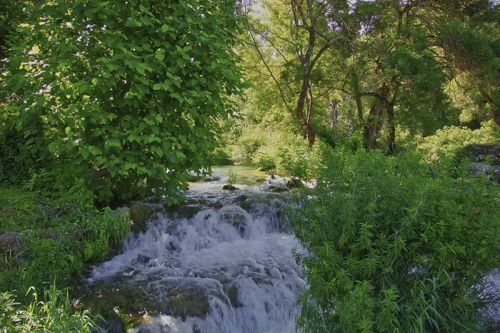 Framed Print : A small waterfall flows through a green