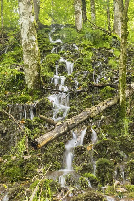 Framed Print : Small waterfalls on a wooded slope of the Wutach near the Schattenmuehle Framed Print : Small waterfalls on a wooded slope of the Wutach near the Schattenmuehle