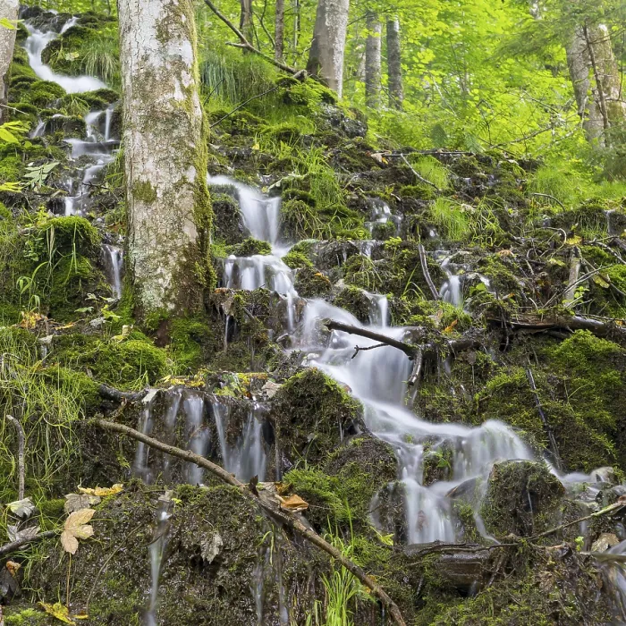 Framed Print : Small waterfalls on a wooded slope of the Wutach near the Schattenmuehle