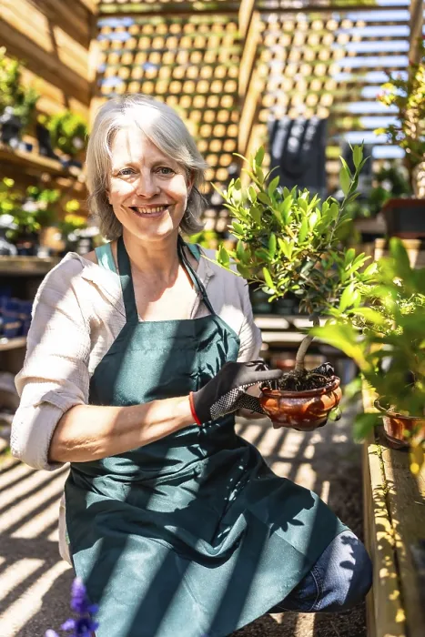 Framed Print : Smiling senior gardener woman wearing gloves and apron holding bonsai plant while working in greenhouse