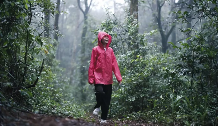 Framed Print : A smiling woman in a red raincoat hiking through a lush