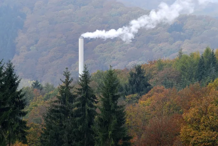 Framed Print : Smoke coming from a smokestack in the middle of a forest