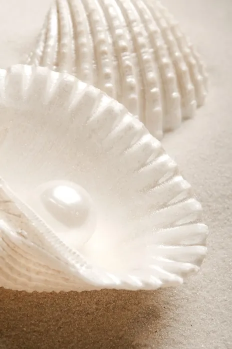 Framed Print : A smooth pearl inside an open seashell resting on beige sand