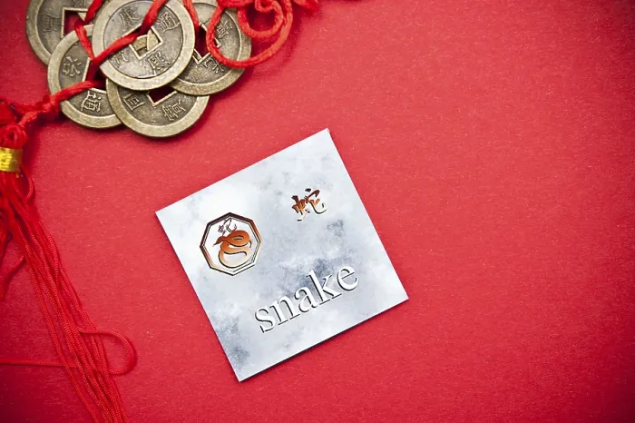 Framed Print : Snake zodiac card with Chinese character on a red background with coins