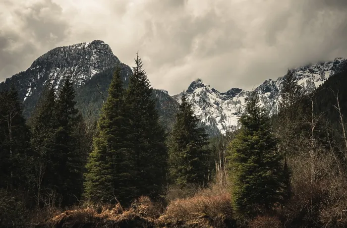Framed Print : Snow-capped mountains and lush trees under an overcast sky Framed Print : Snow-capped mountains and lush trees under an overcast sky