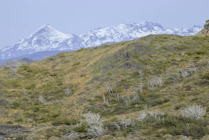 Framed Print : Snow-capped mountains with rocky terrain and sparse grass create a serene landscape Framed Print : Snow-capped mountains with rocky terrain and sparse grass create a serene landscape
