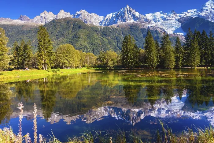 Framed Print : The snow-covered Alps and evergreen fir-trees are reflected in lake Framed Print : The snow-covered Alps and evergreen fir-trees are reflected in lake