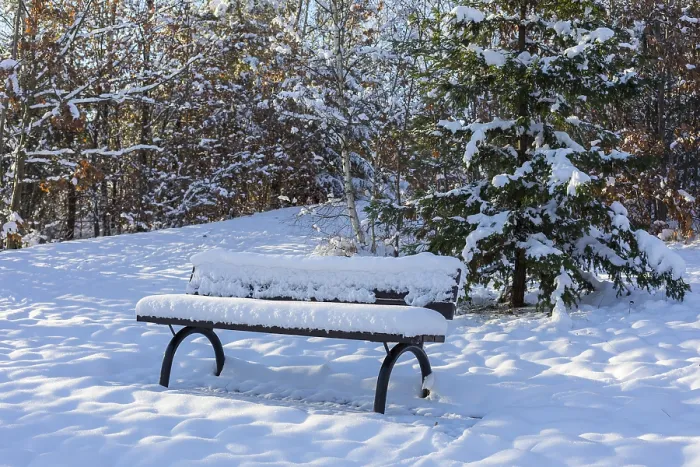 Framed Print : Snow-covered bench in the winter forest