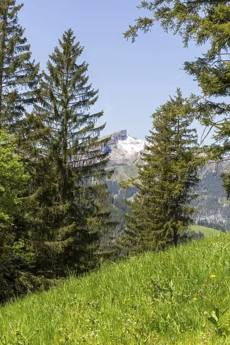 Framed Print : Snow-covered mountain peak of the Hoher Ifen