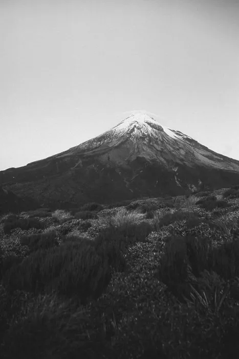 Framed Print : A snow-covered mountain rises above a vegetation-rich plain in black and white