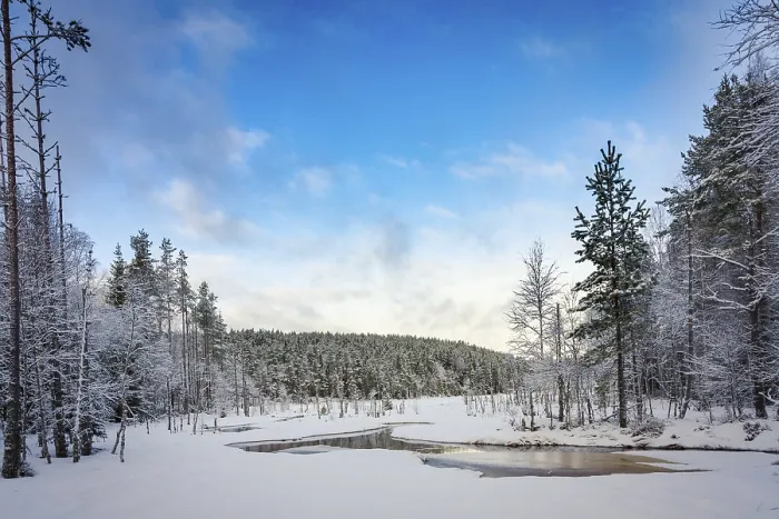 Framed Print : Snow covered norwegian lake with some open water and forest with snowcovered trees
