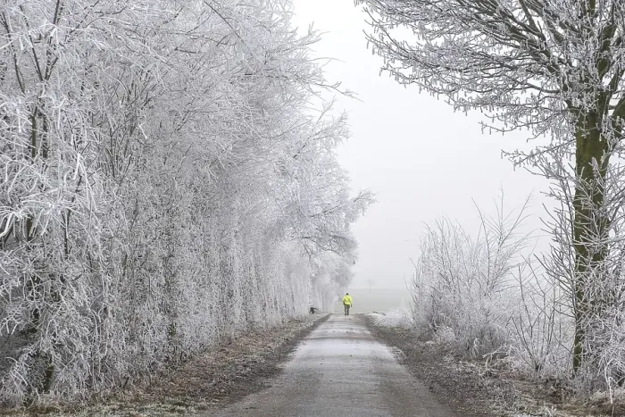 Framed Print : Snow-covered path with icy trees and a person in a yellow coat walking in the distance