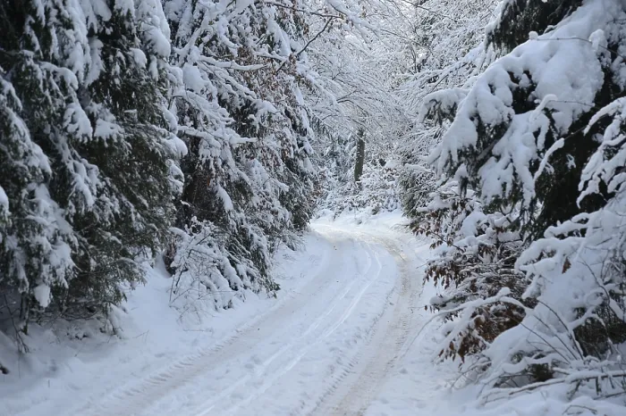 Framed Print : A snow-covered path winding through a dense