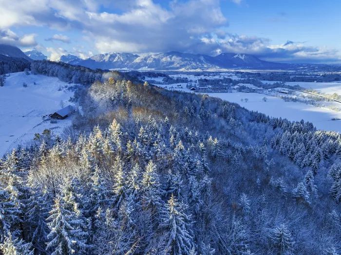 Framed Print : Snow-covered trees in front of mountains
