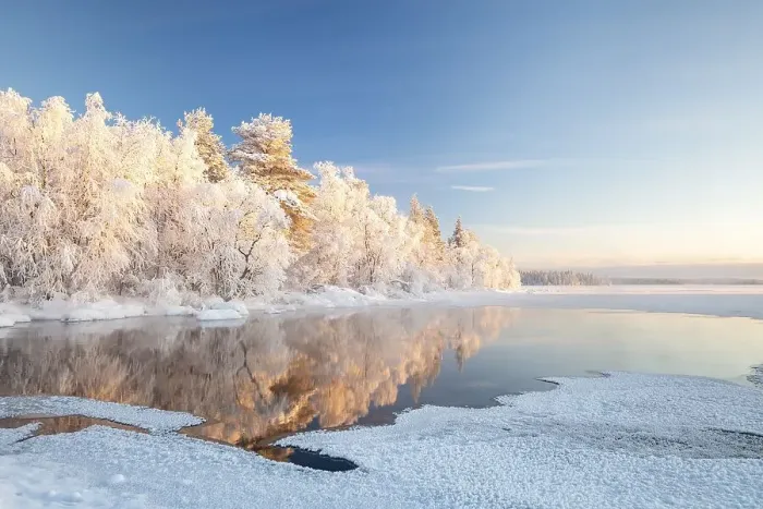 Framed Print : Snow-covered trees reflected in a semi-frozen lake