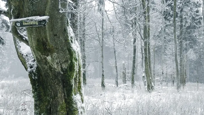 Framed Print : Snow-covered trees with Rennsteig signs on a tree in the winter forest convey a quiet and mystical atmosphere Framed Print : Snow-covered trees with Rennsteig signs on a tree in the winter forest convey a quiet and mystical atmosphere