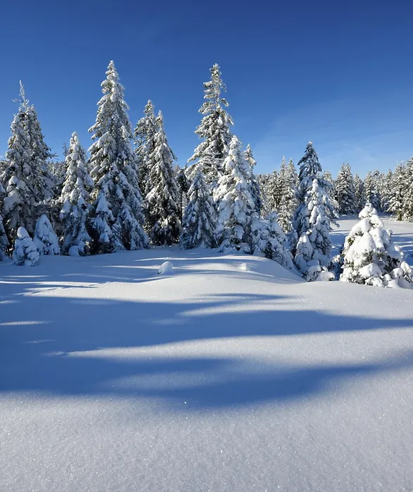 Framed Print : Snow-covered winter landscape, Harz National Park