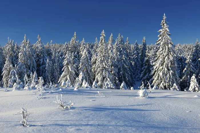 Framed Print : Snow-covered winter landscape, Harz National Park Framed Print : Snow-covered winter landscape, Harz National Park